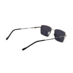 Premier F3101 C2 Polarized γυαλιά ηλίου